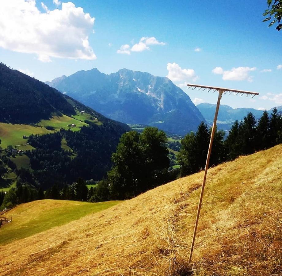 Apartamento Bergblick Hollnhof Donnersbach Exterior foto