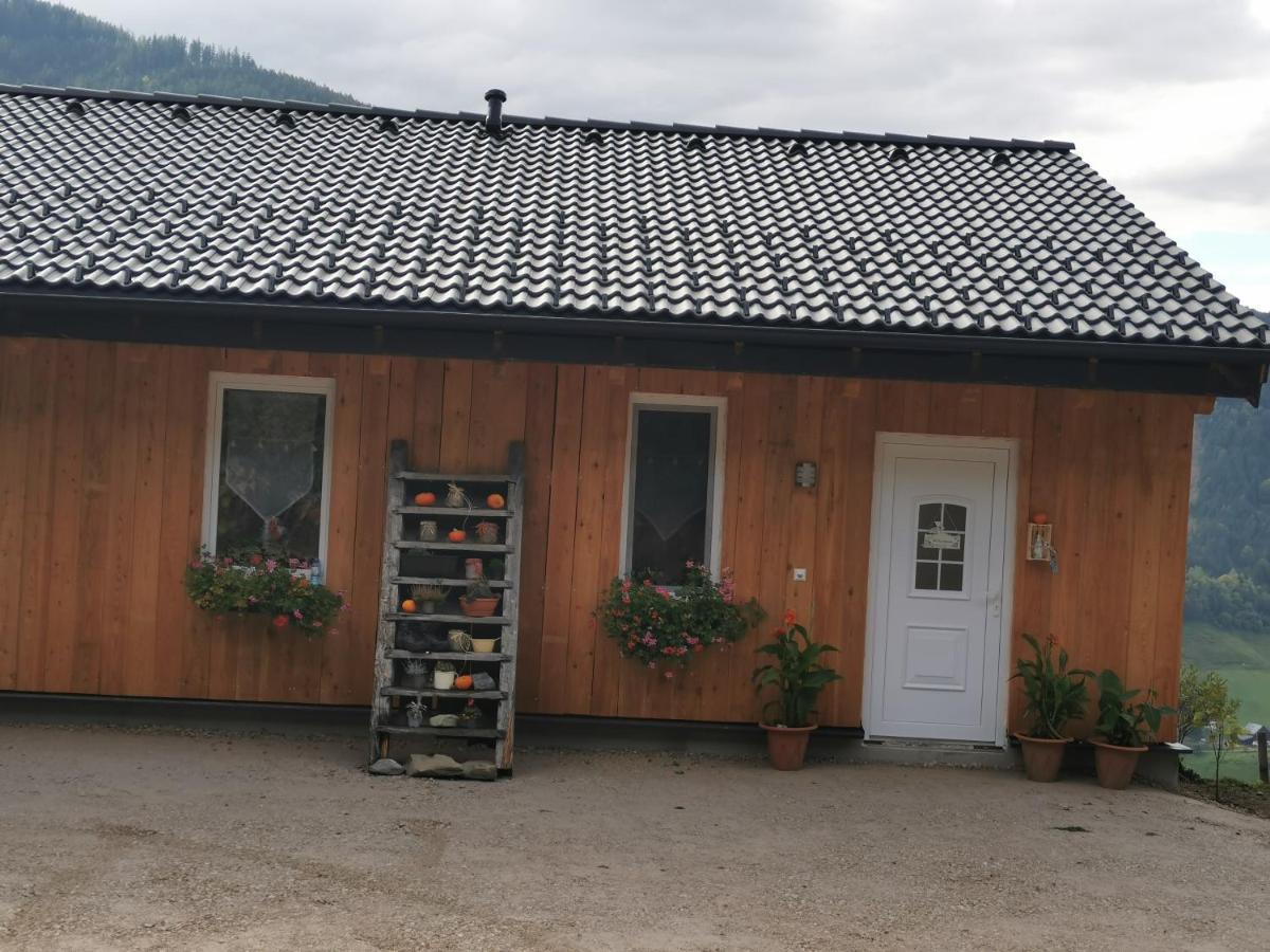 Apartamento Bergblick Hollnhof Donnersbach Exterior foto